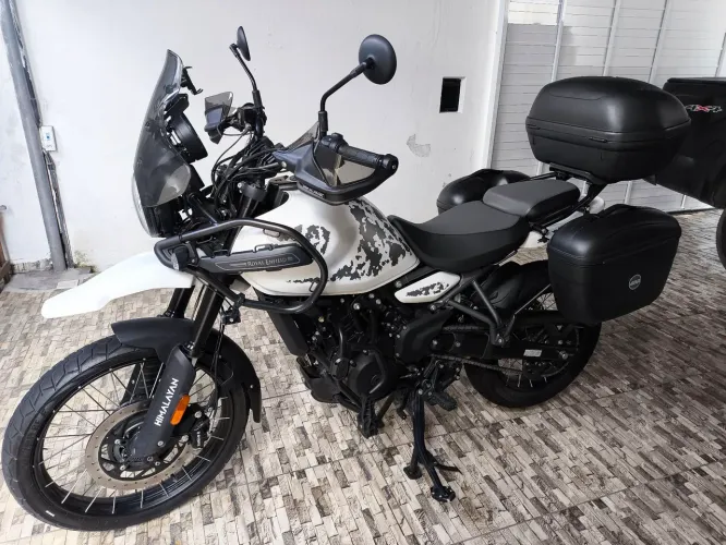 A Himalayan mais completa do OLX