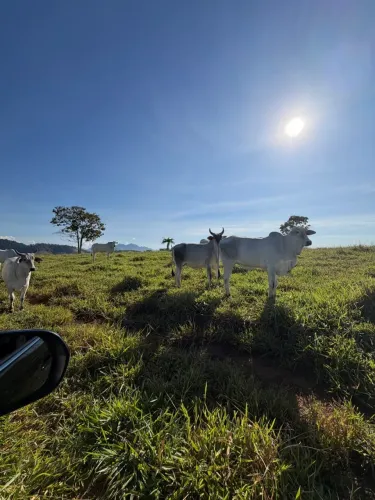 fazendinha em Timbui
