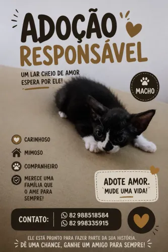 Adoção 