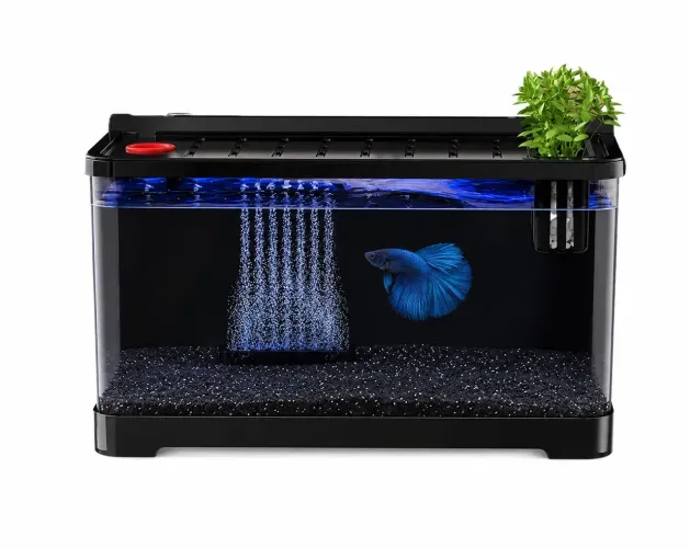 BETEIRA C/LED 8L