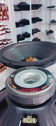 PAR DE ALTO FALANTES 15 POLEGADAS 650RMS CADA !! OPORTUNIDADE