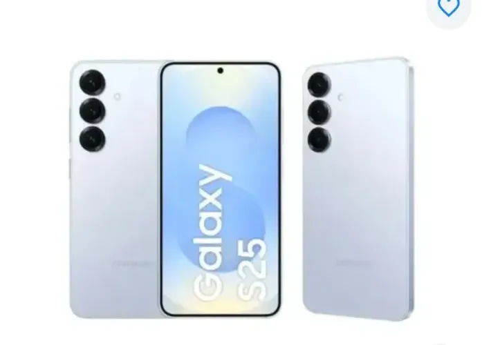 S25 fe