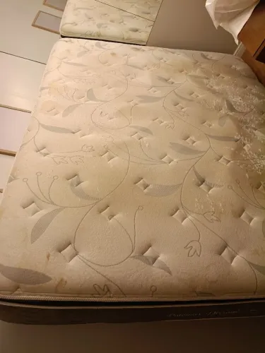 Colchão Queen Palermo Dreams com Pillow usado