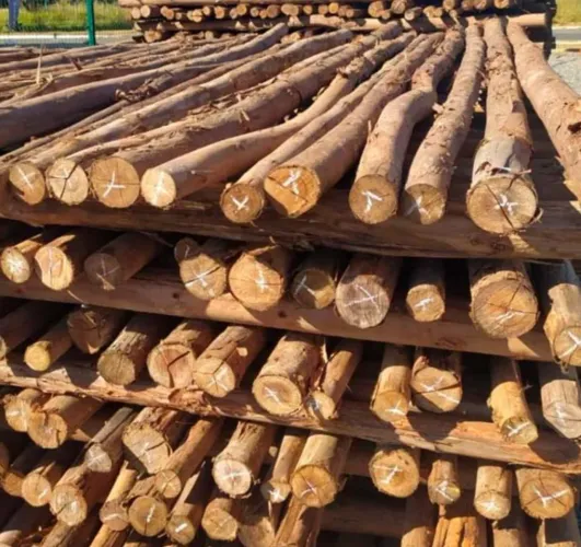 400 Escoras de eucalipto 2,85 a 4 metros