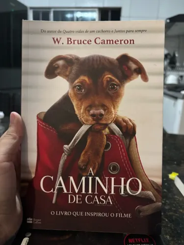 Livro a caminho de casa