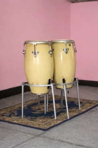 Congas 