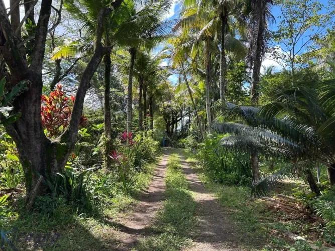 Sítio residencial e comercial com lagoa, pasto, pomar, galpão, acesso pavimentado, perto d