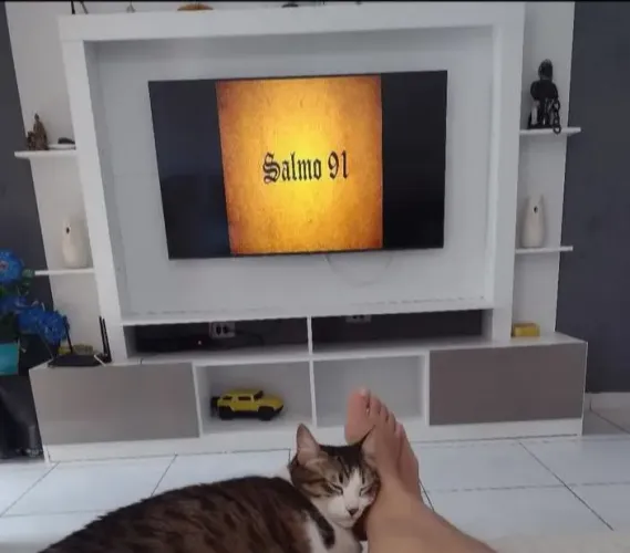 Vendo estante para TV 60 polegadas