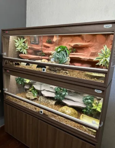 Terrários Sob Medida | Alto Padrão | Envio para Todo Brasil