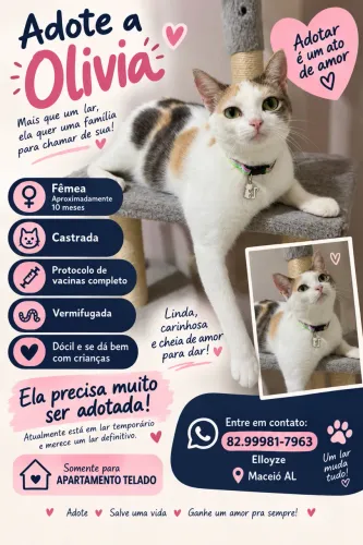 Adoção Responsável