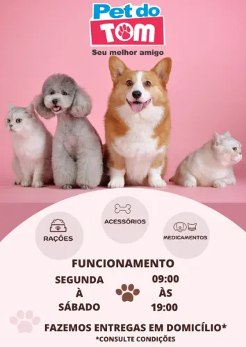Spitz Machos linhagem Russa - Micro, para reserva!