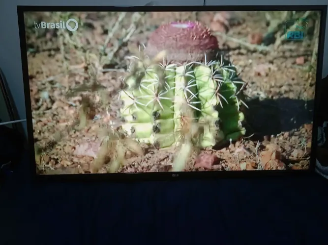 Smartv LG 43 polegadas,  funcionando 