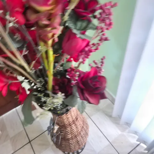 Vaso com plantas
