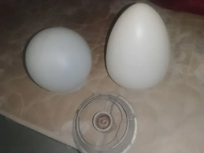 Globo de plástico 