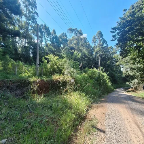 Terreno plano de 800 m2 e próximo da RS 235 em Nova Petrópolis
