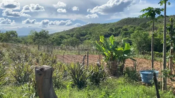 Fazenda para Venda em Belo Horizonte, Zona Rural