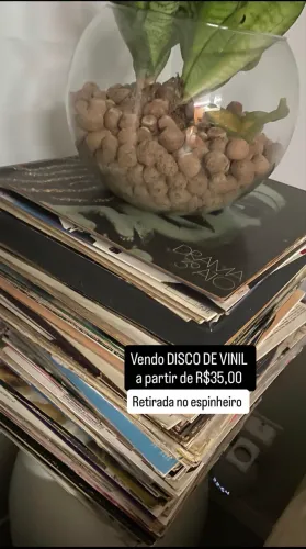 Disco de vinil 