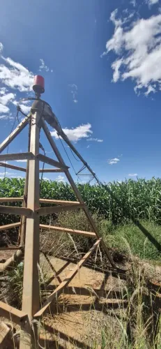 Fazenda 269 hectares, 100% plana, lavouras