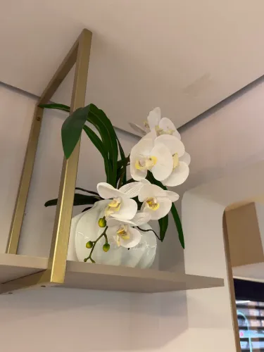 Artigos de Decoracao
