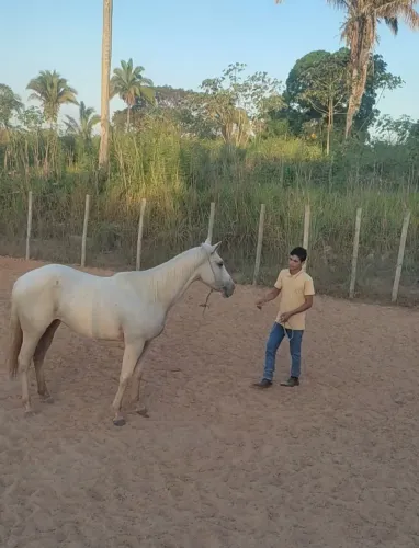 Égua Po com documento