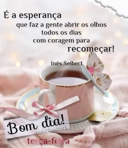 Babá diarista