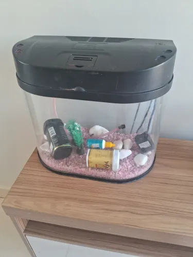 Vendo Aquário de mesa