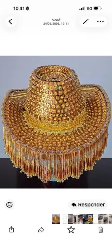 Chapéu de boi