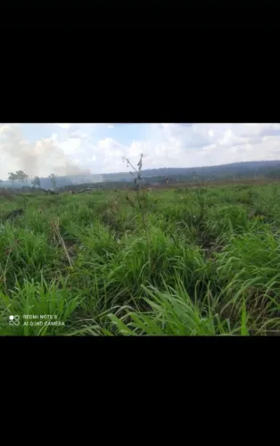 Área de 270 hectares na região de mojui dos campos PA,as margens do Rio moju!