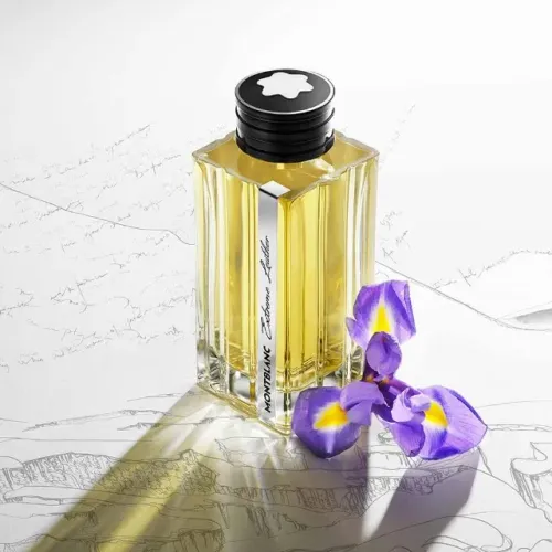 Perfume Montblanc Collection Extreme Leather Masculino Eau De Parfum