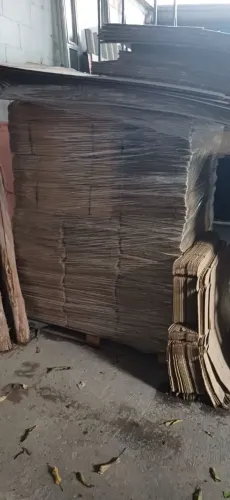 Lote de 670 caixas de papelão