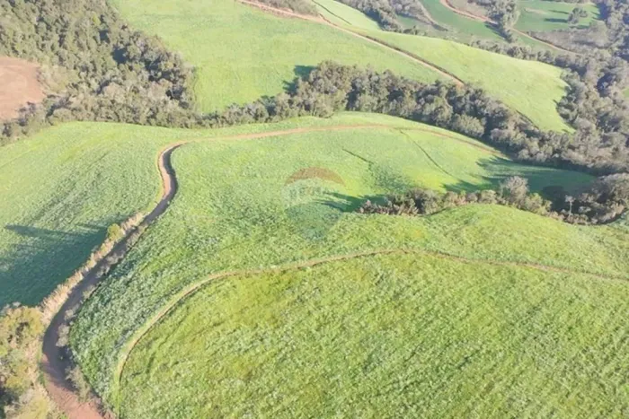 Propriedade Agrícola 57,5 Ha com Ótimo Preço em Três Palmeiras