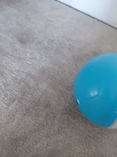 Brinquedo para dog