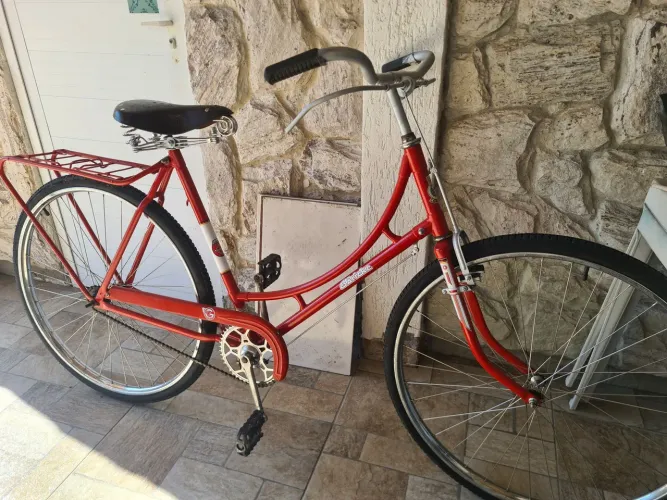 Bicicleta Goricke
