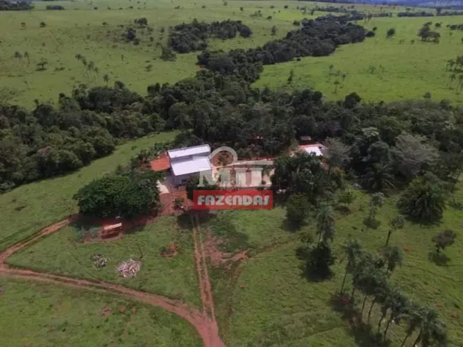 Chácara 4 Alqueires (19,36 hectares) Morrinhos - GO