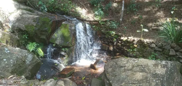 Verdadeiro Santuário Ecológico! Sítio com 12.000m², Riquíssimo em Água, Marmelópolis/MG
