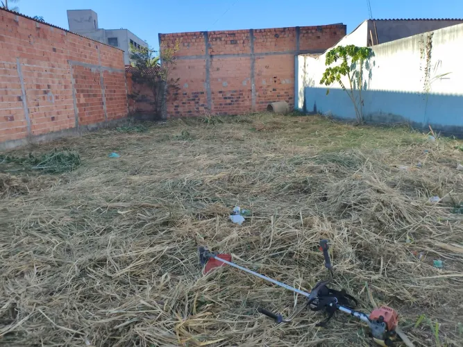 Lote