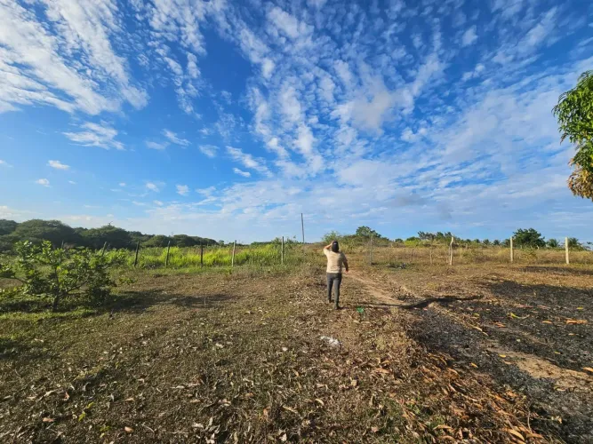 Arrendamento pra fazenda solar