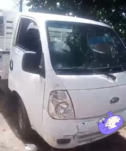 Caminhão Bomgo 