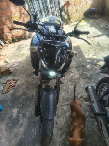 Fz15