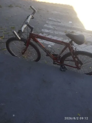 Bicicleta