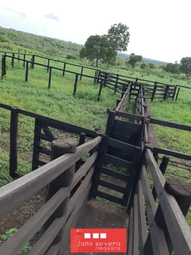 Fazenda para Venda em Gurupi
