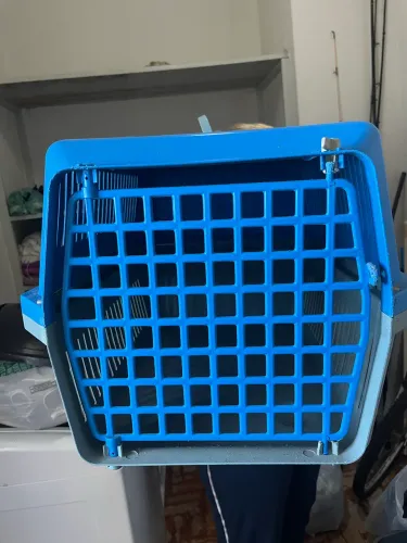 Pet Shopping 