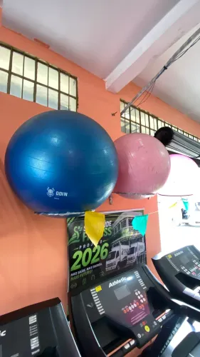 Bola suíça fisioterapia