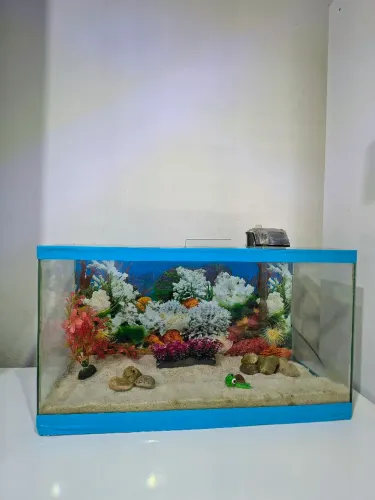 Aquário 35 litros