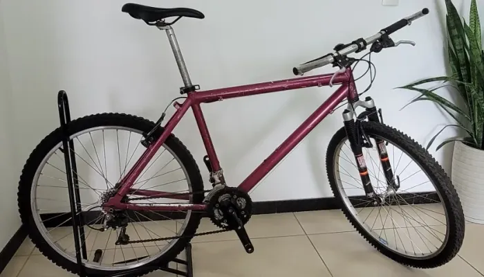 Caloi Aluminum Andes Sport 1 - 1994