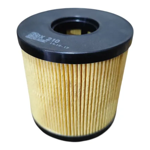 Elemento Filtrante Óleo Master 2.5 05 11 Mahle Ox210d
