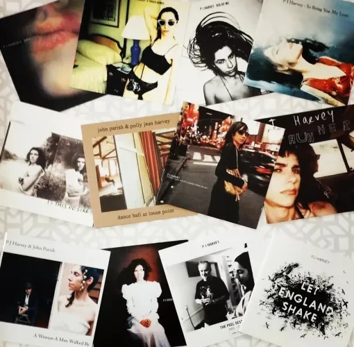 Pj Harvey - Combo com 12 CDs Originais Nacionais e Importados 