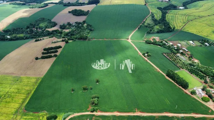Excelente propriedade agrícola à venda em Tamarana, localizada em região consolidada e de