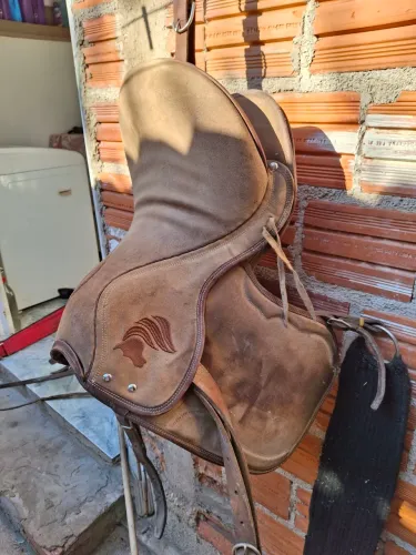 Cela de vaqueijada