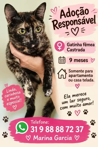 Gata para adoção